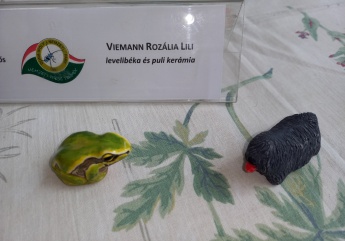 levelibéka és puli kerámia