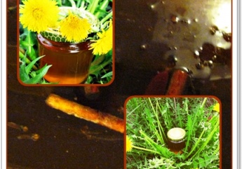 Fahéjas szegfűszeges pitypang szirup