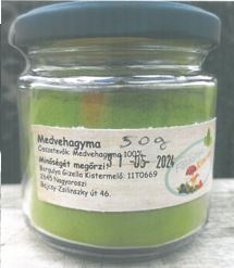 Medvehagyma por