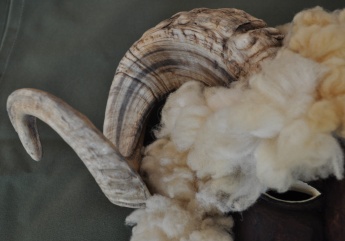 Busóálarc kos szarvval 