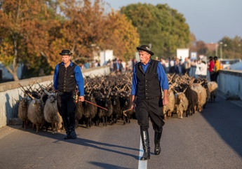 Kihajtási Ünep 