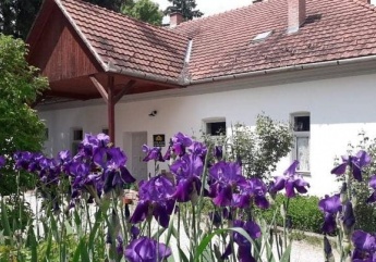 Antal Major - Tornaszentjakab