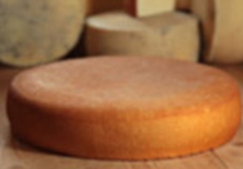 6 hónapnál tovább érlelt félkemény sajtok