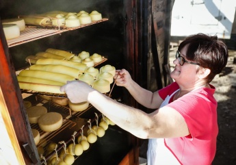 Németh Anita Eszter