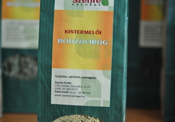 Bodzavirág tea