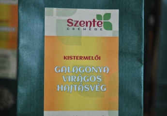 Galagonya hajtásvég tea