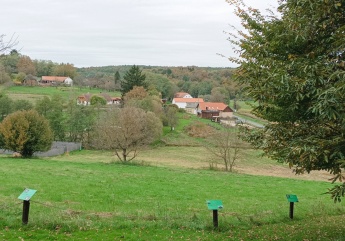 Tűzlepke Öko-élménypark Tűzlepke Kalandösvény