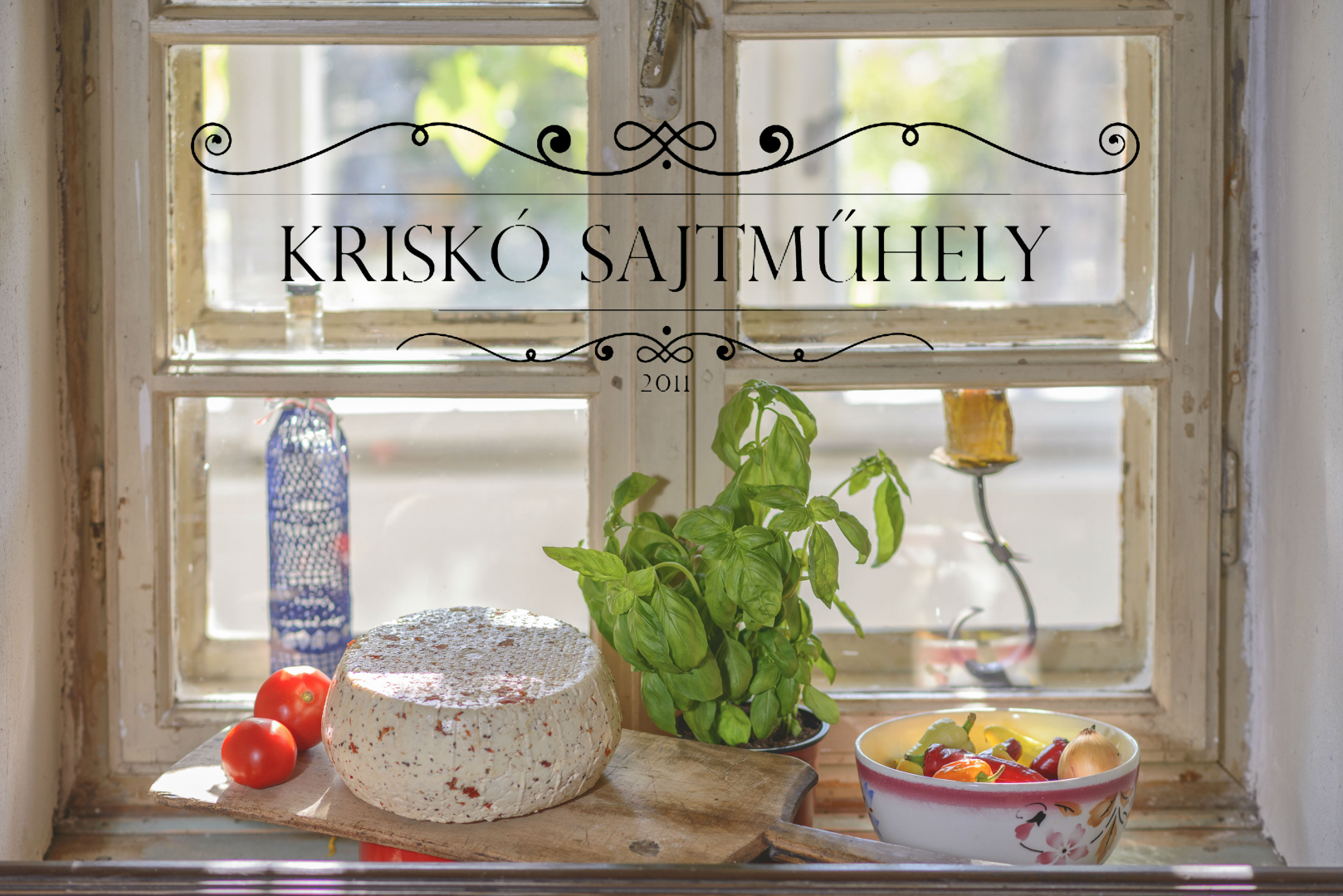 Kriskóné Szabó Zsófia
